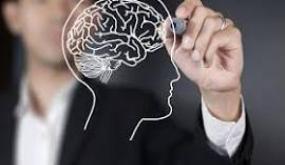 نكتة اليوم: لماذا تُعتبر عقول المسؤولين تساوي وزنها ذهباً؟