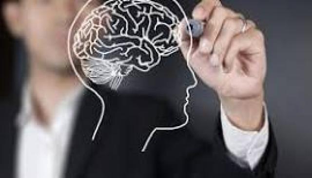 نكتة اليوم: لماذا تُعتبر عقول المسؤولين تساوي وزنها ذهباً؟