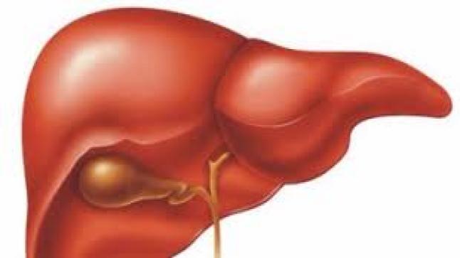 5 عوامل تؤثر سلبا في صحة الكبد