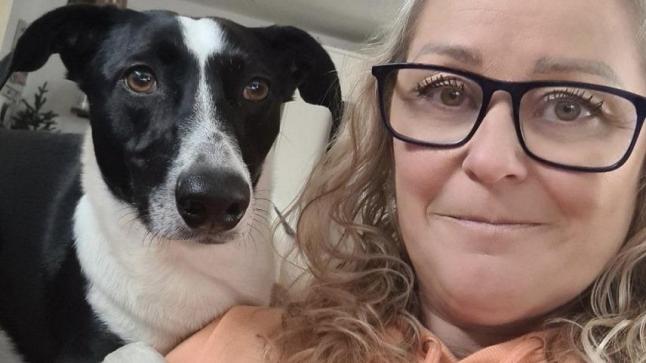 كلبة تساعد خمسينية على اكتشاف إصابتها بالسرطان ‏