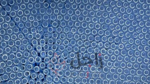 المكسيك…سرقة 10 آلاف جرعة من لقاح الأنفلونزا