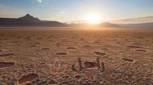 “دوائر خيالية” ظهرت في الصحراء الإفريقية