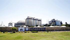 «الخليج للسكر» تكرر 7000 طن يومياً