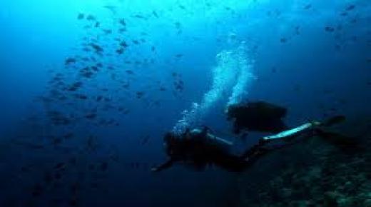 لؤلؤ تاهيتي يعاني من ارتفاع حرارة مياه المحيط