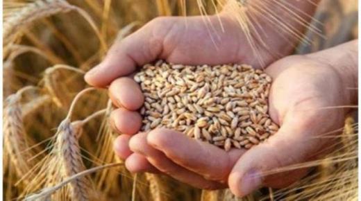 أكثر من نصف الأسر الأردنية معرضة لانعدام الأمن الغذائي