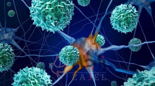 هل يتكرر مشهد كورونا.. خبراء الصحة يحذرون من تفشي وشيك لمرض غريب