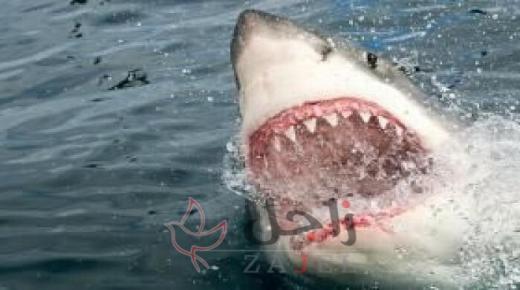 مقتل رجل بعد تعرضه لهجوم من سمكة قرش في شاطئ بأستراليا