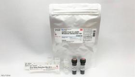 للإنذار المبكر.. جهاز ياباني “يرصد” سلالات كورونا المتحورة