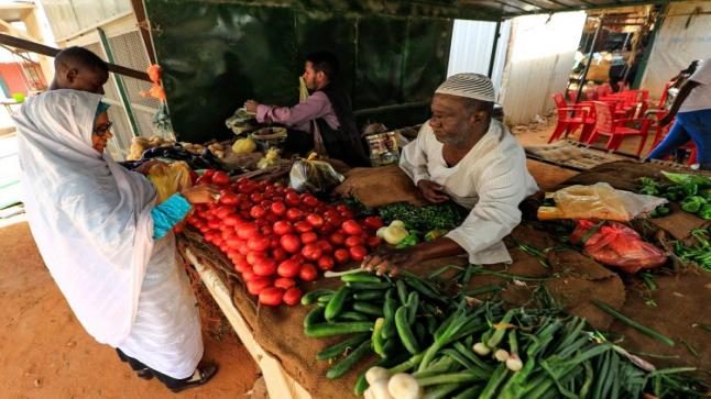 ازمة غذاء قد تتسبب في دمار الشرق الاوسط وشمال افريقيا