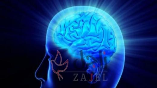 العقل العربي وين ؛؛؛