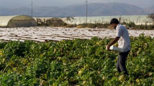 %10 ارتفاع أسعار المنتجين الزراعيين خلال النصف الأول من العام الحالي