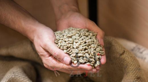 القهوة الخضراء سلاح فعّال لإنقاص الوزن