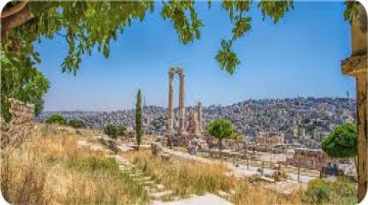 أكثر من 83 ألف مشارك في برنامج أردننا جنة