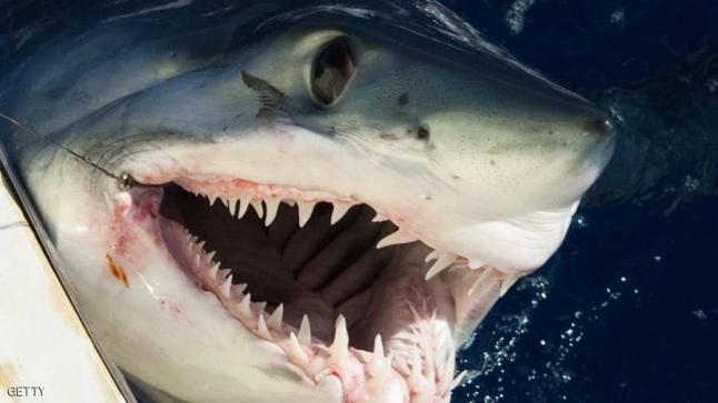أسماك القرش “تعض” 3 أشخاص خلال يوم