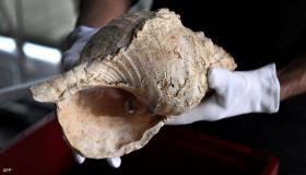 اكتشاف فريد.. العثور على آلة موسيقية عمرها 18 ألف عام