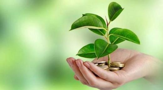 الاقتصاد وسعادة الحياة
