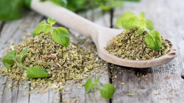 فوائد الاوريغانو… رغم قلة الأدلة