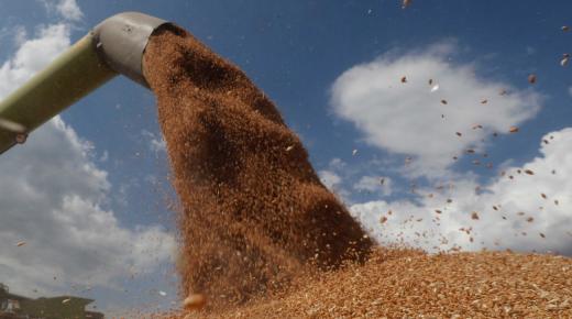 جهود البنك الدولي في مواجهة ازمة الغذاء