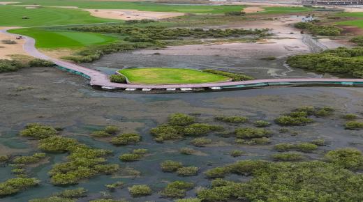 “بلدية عجمان”… مبادرات مبتكرة لترسيخ الاستدامة وحماية البيئة