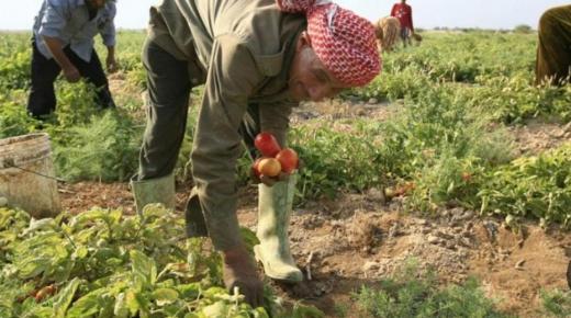 البنك الدولي يدرس تمويلًا إضافيًا بقيمة 179 مليون دولار لتعزيز استدامة الزراعة في الأردن