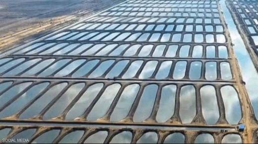 السيسي يفتتح مشروعا ضخما “للأسماك” في بورسعيد