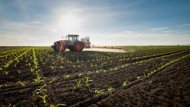 انخفاض الانتاج الزراعي في اوكرانيا عام 2020 بنسبة 11.5٪