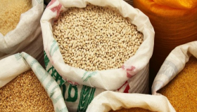 انخفاض صادرات الحبوب في اوكرانيا منذ بداية العام