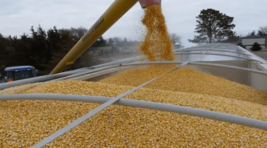 اوكرانيا تصدر ما يزيد عن 27 مليون طن من الحبوب سنويًا