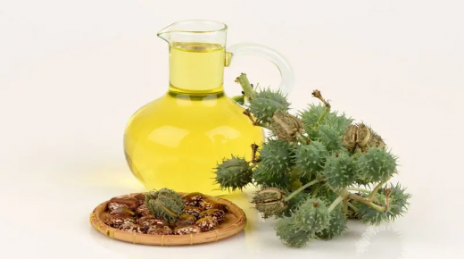 طريقة استعمال زيت الخروع كسماد للنباتات…