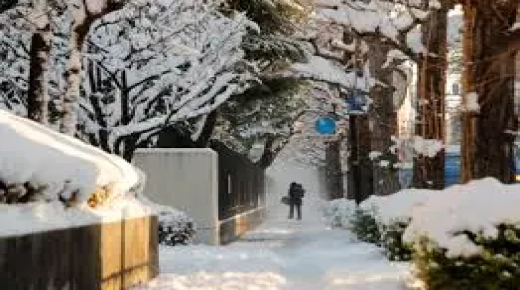 اجواء شتوية والثلوج تغطي العاصمة كييف