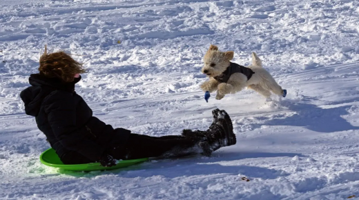احداث نسجت في ذاكرة التاريخ وتزامنت مع عيد الميلاد