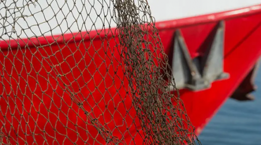 البيئة تضع قوانين جديدة لتنظيم صيد الاسماك