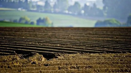 تغيير التقييم النقدي المعياري لقطع الأراضي