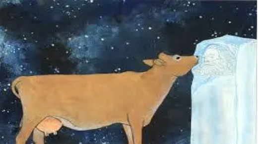 بالفيديو … تعرف على البقرة التي اصبحت نجمة السوشل ميديا ..