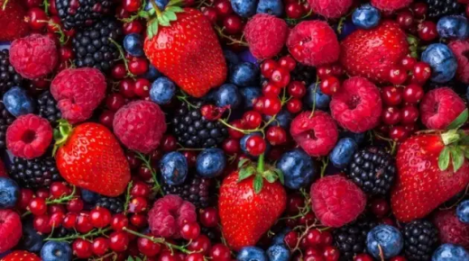 التوت البري كنز من الفوائد الصحية