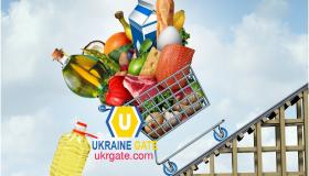 ما هي الاسباب التي ادت الى انهيار وتراجع اسعار الزيوت بعد الارتفاع الكبير؟