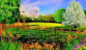 سلاح سري للحد من التوتر بدقيقة واحدة : أصوات الطبيعة