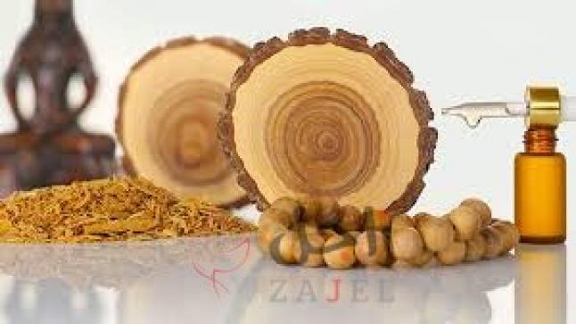 خشب الصندل الصناعي قد يساعد على علاج الصلع