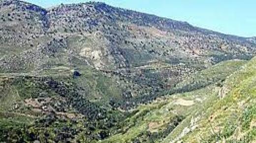 عجلون: اطلاق مبادرة للترويج السياحي