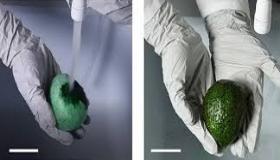 طلاء حيوي قابل للتحلل يرش على الطعام لإبقائه طازجًا لمدة أطول