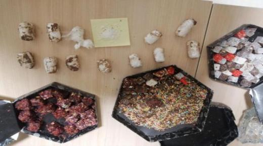 الأردن.. الجيش يحبط 3 محاولات تهريب مخدرات عبر بالونات بدائية