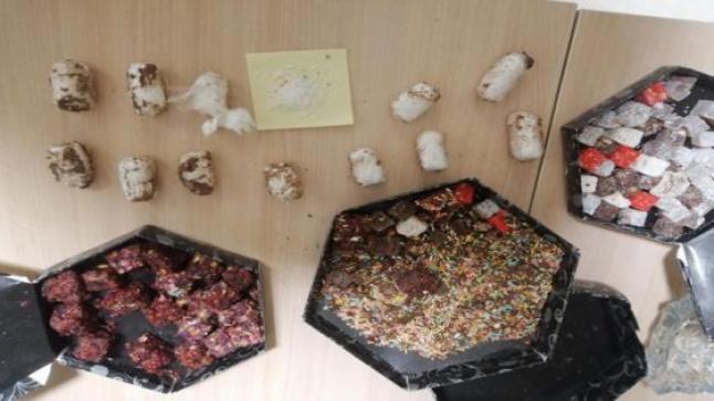 الأردن.. الجيش يحبط 3 محاولات تهريب مخدرات عبر بالونات بدائية