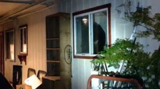 دب يقتحم منزل رجل ليلا.. شاهد ماذا حدث ؟