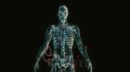 صوراً عالية الجودة… التقطها علماء لـ تكاثر فيروس كورونا