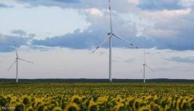 قمة ينتظرها العالم والهدف “كل كائن حي”