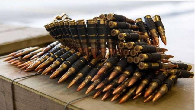 تضم 20 ألف طلقة..ألمانيا: سرقة شحنة ذخيرة للجيش