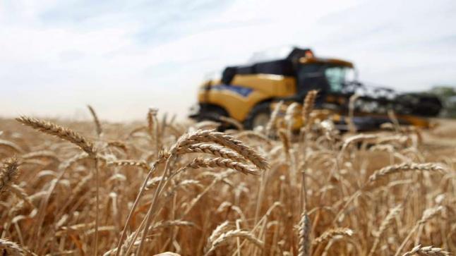 روسيا توافق على زيادة ضريبة تصدير القمح اعتبارا من أول مارس