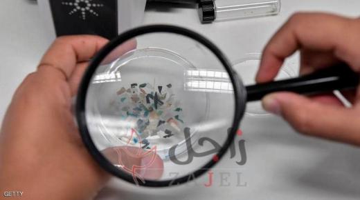 ما هو مقدار ما يتناوله الفرد من البلاستيك أسبوعيا