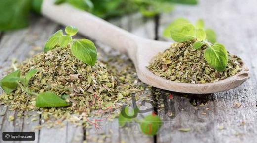 فوائد البردقوش الصحية للجسم