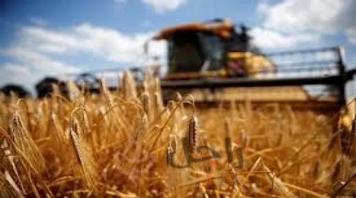 السعودية تسعى لشراء 1.02 مليون طن من علف الشعير